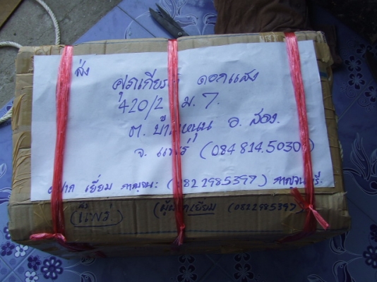 ขายปั๊มแรงสูง 2 นิ้ว japan ขายปั๊มแรงสูง 2 นิ้ว japan