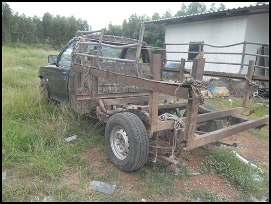 สตาร์ด้า หัวเดียว