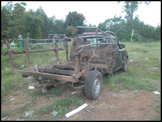 สตาร์ด้า หัวเดียว