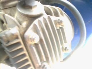 เวฟ100 48 ก้างปลาท่อปากฉลาม ตัวสุดท้าย สวยสวยเดิมเดิม แห้งแห้ง เล่มพร้อมโอน