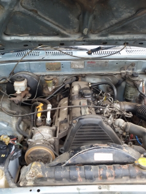 ไมตี้หัวเดียวถูกสุดๆ เดิมๆ 79000