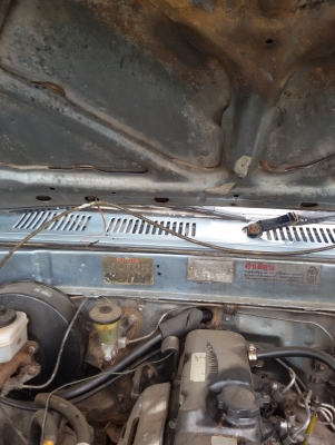 ไมตี้หัวเดียวถูกสุดๆ เดิมๆ 79000