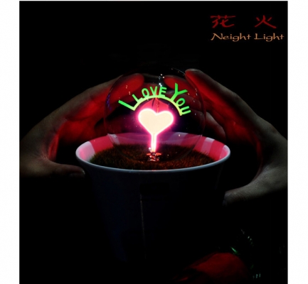 โคมไฟกระถางต้นไม้ I LOVE YOU