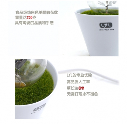 โคมไฟกระถางต้นไม้ I LOVE YOU