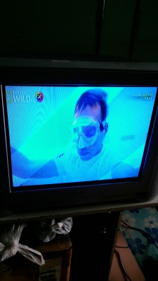 ทีวีสีจอแบน 21 นิ้ว ยี่ห้อ LG สภาพดีสีจอชัดเดิมๆ มีรีโมทครบ ผมซื้อเครื่งใหม่เลยขาย