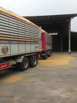 22ล้อดั้ม แม่-ลูก(มี4ชุด) ISUZU 360แรง รถสวยได้ใจ..รถบรรทุกข้าวเปลือก.เข้า..เช็ค ศูนย์ตลอด.ขายราคาเริ่มต้น..