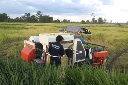 **275,000 บ.ต่อรอง**คันที่1!!!ขายรถเกี่ยวแบบรองกระสอบ KUBOTA DC60 เครื่องเดิมปั้มเดิม 60แรง แน่นดีแรง ปากเกี่ยวสภาพดี ชั่วโมงทำงาน3,9xx ชม. ช่องระบายข้าว2ช่อง ช่วงล่าง70-80\% ทำงานดีคล่องตัวเลี้ยวง่าย รถใช้งานอยู่ปกติ สีสันดี ซื้อไปทำงานได้เลย พร้อมใช้พร้อ **275,000 บ.ต่อรอง**คันที่1!!!ขายรถเกี่ยวแบบรองกระสอบ KUBOTA DC60 เครื่องเดิมปั้มเดิม 60แรง แน่นดีแรง ปากเกี่ยวสภาพดี ชั่วโมงทำงาน3,9xx ชม. ช่องระบายข้าว2ช่อง ช่วงล่าง70-80\% ทำงานดีคล่องตัวเลี้ยวง่าย รถใช้งานอยู่ปกติ สีสันดี ซื้อไปทำงานได้เลย พร้อมใช้พร้อ