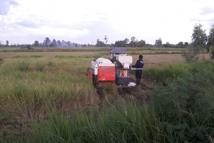 **275,000 บ.ต่อรอง**คันที่1!!!ขายรถเกี่ยวแบบรองกระสอบ KUBOTA DC60 เครื่องเดิมปั้มเดิม 60แรง แน่นดีแรง ปากเกี่ยวสภาพดี ชั่วโมงทำงาน3,9xx ชม. ช่องระบายข้าว2ช่อง ช่วงล่าง70-80\% ทำงานดีคล่องตัวเลี้ยวง่าย รถใช้งานอยู่ปกติ สีสันดี ซื้อไปทำงานได้เลย พร้อมใช้พร้อ **275,000 บ.ต่อรอง**คันที่1!!!ขายรถเกี่ยวแบบรองกระสอบ KUBOTA DC60 เครื่องเดิมปั้มเดิม 60แรง แน่นดีแรง ปากเกี่ยวสภาพดี ชั่วโมงทำงาน3,9xx ชม. ช่องระบายข้าว2ช่อง ช่วงล่าง70-80\% ทำงานดีคล่องตัวเลี้ยวง่าย รถใช้งานอยู่ปกติ สีสันดี ซื้อไปทำงานได้เลย พร้อมใช้พร้อ