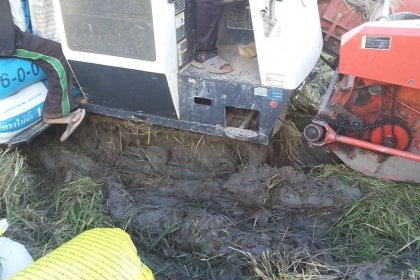 **275,000 บ.ต่อรอง**คันที่2!!! ขายรถเกี่ยวแบบรองกระสอบ KUBOTA DC60 เครื่องเดิมปั้มเดิม 60แรง แน่นดีแรง ปากเกี่ยวสภาพดี ชั่วโมงทำงาน3,1xx ชม. ช่องระบายข้าว2ช่อง ช่วงล่าง70-80\% ทำงานดีคล่องตัวเลี้ยวง่าย รถใช้งานอยู่ปกติ สีสันดี ซื้อไปทำงานได้เลย พร้อมใช้พร้ **275,000 บ.ต่อรอง**คันที่2!!! ขายรถเกี่ยวแบบรองกระสอบ KUBOTA DC60 เครื่องเดิมปั้มเดิม 60แรง แน่นดีแรง ปากเกี่ยวสภาพดี ชั่วโมงทำงาน3,1xx ชม. ช่องระบายข้าว2ช่อง ช่วงล่าง70-80\% ทำงานดีคล่องตัวเลี้ยวง่าย รถใช้งานอยู่ปกติ สีสันดี ซื้อไปทำงานได้เลย พร้อมใช้พร้