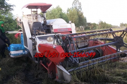 **275,000 บ.ต่อรอง**คันที่2!!! ขายรถเกี่ยวแบบรองกระสอบ KUBOTA DC60 เครื่องเดิมปั้มเดิม 60แรง แน่นดีแรง ปากเกี่ยวสภาพดี ชั่วโมงทำงาน3,1xx ชม. ช่องระบายข้าว2ช่อง ช่วงล่าง70-80\% ทำงานดีคล่องตัวเลี้ยวง่าย รถใช้งานอยู่ปกติ สีสันดี ซื้อไปทำงานได้เลย พร้อมใช้พร้