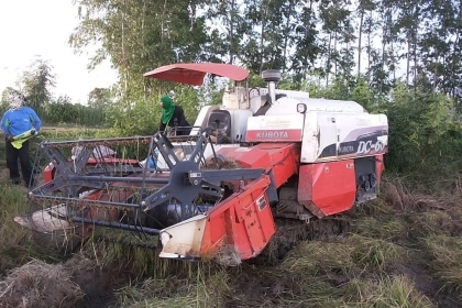 **275,000 บ.ต่อรอง**คันที่2!!! ขายรถเกี่ยวแบบรองกระสอบ KUBOTA DC60 เครื่องเดิมปั้มเดิม 60แรง แน่นดีแรง ปากเกี่ยวสภาพดี ชั่วโมงทำงาน3,1xx ชม. ช่องระบายข้าว2ช่อง ช่วงล่าง70-80\% ทำงานดีคล่องตัวเลี้ยวง่าย รถใช้งานอยู่ปกติ สีสันดี ซื้อไปทำงานได้เลย พร้อมใช้พร้ **275,000 บ.ต่อรอง**คันที่2!!! ขายรถเกี่ยวแบบรองกระสอบ KUBOTA DC60 เครื่องเดิมปั้มเดิม 60แรง แน่นดีแรง ปากเกี่ยวสภาพดี ชั่วโมงทำงาน3,1xx ชม. ช่องระบายข้าว2ช่อง ช่วงล่าง70-80\% ทำงานดีคล่องตัวเลี้ยวง่าย รถใช้งานอยู่ปกติ สีสันดี ซื้อไปทำงานได้เลย พร้อมใช้พร้