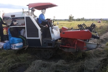 **275,000 บ.ต่อรอง**คันที่2!!! ขายรถเกี่ยวแบบรองกระสอบ KUBOTA DC60 เครื่องเดิมปั้มเดิม 60แรง แน่นดีแรง ปากเกี่ยวสภาพดี ชั่วโมงทำงาน3,1xx ชม. ช่องระบายข้าว2ช่อง ช่วงล่าง70-80\% ทำงานดีคล่องตัวเลี้ยวง่าย รถใช้งานอยู่ปกติ สีสันดี ซื้อไปทำงานได้เลย พร้อมใช้พร้ **275,000 บ.ต่อรอง**คันที่2!!! ขายรถเกี่ยวแบบรองกระสอบ KUBOTA DC60 เครื่องเดิมปั้มเดิม 60แรง แน่นดีแรง ปากเกี่ยวสภาพดี ชั่วโมงทำงาน3,1xx ชม. ช่องระบายข้าว2ช่อง ช่วงล่าง70-80\% ทำงานดีคล่องตัวเลี้ยวง่าย รถใช้งานอยู่ปกติ สีสันดี ซื้อไปทำงานได้เลย พร้อมใช้พร้