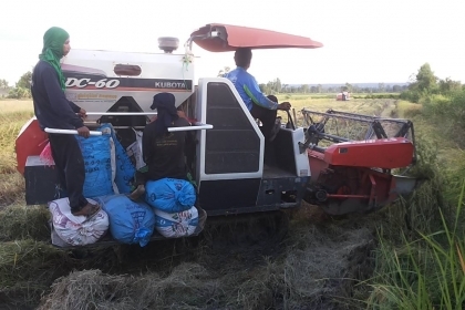 **275,000 บ.ต่อรอง**คันที่2!!! ขายรถเกี่ยวแบบรองกระสอบ KUBOTA DC60 เครื่องเดิมปั้มเดิม 60แรง แน่นดีแรง ปากเกี่ยวสภาพดี ชั่วโมงทำงาน3,1xx ชม. ช่องระบายข้าว2ช่อง ช่วงล่าง70-80\% ทำงานดีคล่องตัวเลี้ยวง่าย รถใช้งานอยู่ปกติ สีสันดี ซื้อไปทำงานได้เลย พร้อมใช้พร้ **275,000 บ.ต่อรอง**คันที่2!!! ขายรถเกี่ยวแบบรองกระสอบ KUBOTA DC60 เครื่องเดิมปั้มเดิม 60แรง แน่นดีแรง ปากเกี่ยวสภาพดี ชั่วโมงทำงาน3,1xx ชม. ช่องระบายข้าว2ช่อง ช่วงล่าง70-80\% ทำงานดีคล่องตัวเลี้ยวง่าย รถใช้งานอยู่ปกติ สีสันดี ซื้อไปทำงานได้เลย พร้อมใช้พร้