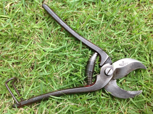 ขายกรรไกรตัดกิ่ง งานเก่าอังกฤษ