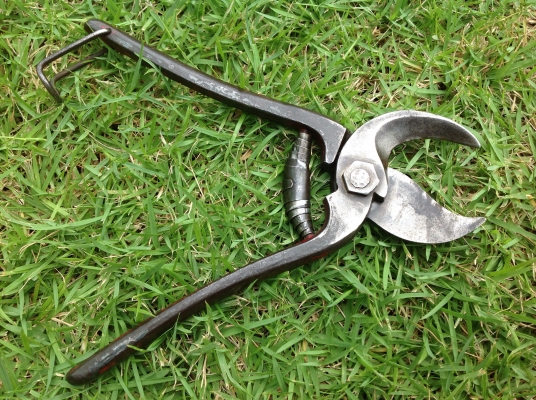 ขายกรรไกรตัดกิ่ง งานเก่าอังกฤษ