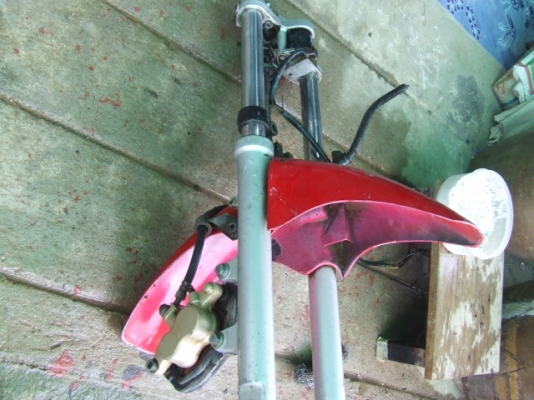 ขายชุดแผงคอโชคใหญ่สภาพดีขายให้น้องๆถูกๆ