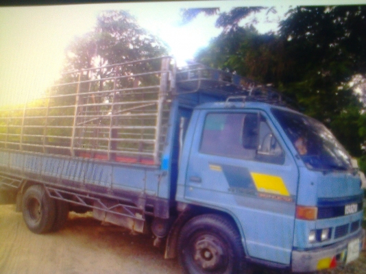 หกล้อ อีซูซุ115แรง ห้างแท้เกียร์สั้น บรรทุกความสวยเดิมๆมาเต็มคัน สภาพส่งประกวดได้ ทะเบียนไม่ขาดพร้อมโอน