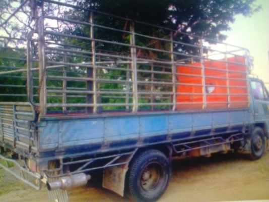 หกล้อ อีซูซุ115แรง ห้างแท้เกียร์สั้น บรรทุกความสวยเดิมๆมาเต็มคัน สภาพส่งประกวดได้ ทะเบียนไม่ขาดพร้อมโอน