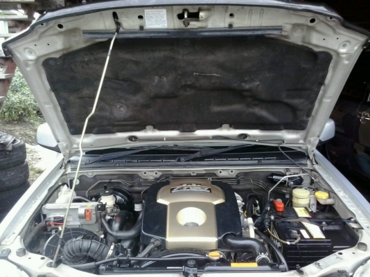 มือเดียวป้ายแดงไม่เคยชนไม่จมน้ำ