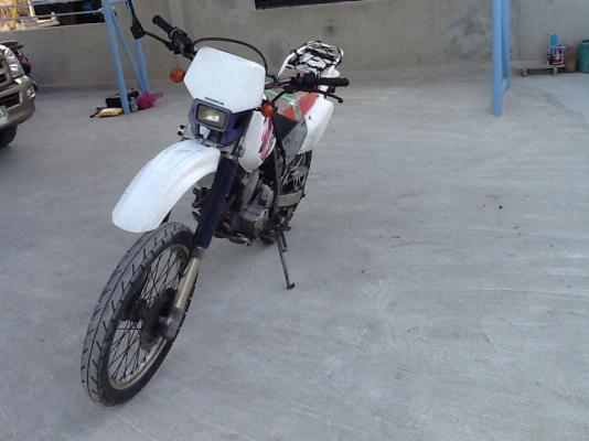 ขาย xr250 ปี96up ยัดตู้มาทั้งคันไม่ได้รื้อสตาทร์ไฟฟ้า ขาย xr250 ปี96up ยัดตู้มาทั้งคันไม่ได้รื้อสตาทร์ไฟฟ้า