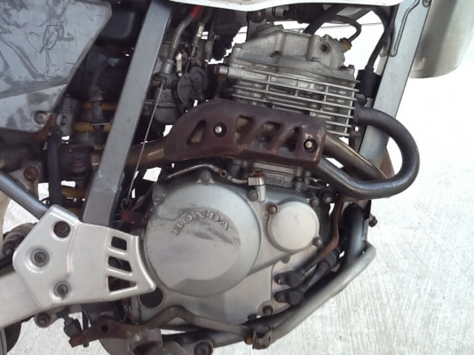 ขาย xr250 ปี96up ยัดตู้มาทั้งคันไม่ได้รื้อสตาทร์ไฟฟ้า ขาย xr250 ปี96up ยัดตู้มาทั้งคันไม่ได้รื้อสตาทร์ไฟฟ้า