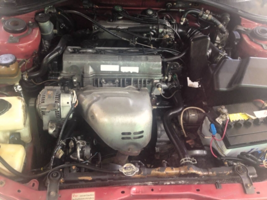 **139,000 บ.ต่อรอง**ขายรถเก๋งสวยๆ TOYOTA,CORONA EXSIOR 2.0 SEG Auto "โฉมท้ายโด่ง"ตัวท็อป AIRBAG 2ใบปี42/99 เครื่องเดิมเกียร์เดิม ติดLPGหัวฉีด(ลงเล่ม) เครื่องแน่นๆ แรงๆ ประหยัดสุด ช่วงล่างหนึบไม่มีส่าย หน้า-หลังเดิมไม่เคยชนหนัก ภายในเก๋งสวยหรู คอ **139,000 บ.ต่อรอง**ขายรถเก๋งสวยๆ TOYOTA,CORONA EXSIOR 2.0 SEG Auto "โฉมท้ายโด่ง"ตัวท็อป AIRBAG 2ใบปี42/99 เครื่องเดิมเกียร์เดิม ติดLPGหัวฉีด(ลงเล่ม) เครื่องแน่นๆ แรงๆ ประหยัดสุด ช่วงล่างหนึบไม่มีส่าย หน้า-หลังเดิมไม่เคยชนหนัก ภายในเก๋งสวยหรู คอ