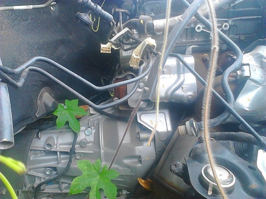 ขายด่วน-มาสด้า-BT50 hileder ขายด่วน-มาสด้า-BT50 hileder