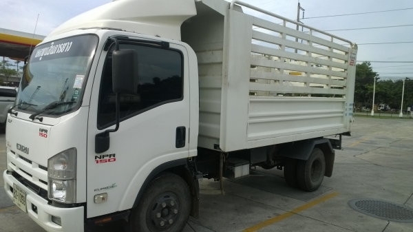 6ล้อดั้มNPR150แรง..รถใช้น้อยมาก13000.กม.(ขาย..รวมดาวน์รวมผ่อน)