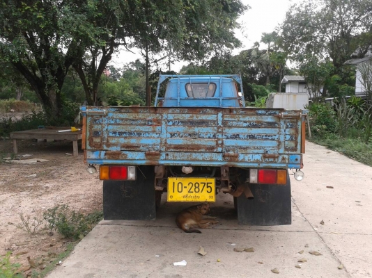 ขาย ISUZU TL 6ล้อ ขาย ISUZU TL 6ล้อ