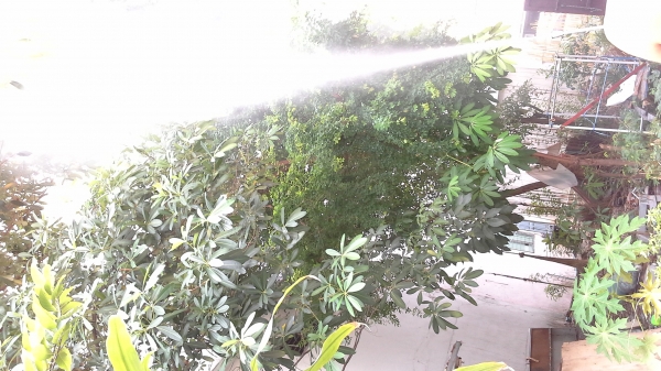 ขายปั้ม3สูบอัดฉีดตราเพชร ขายปั้ม3สูบอัดฉีดตราเพชร