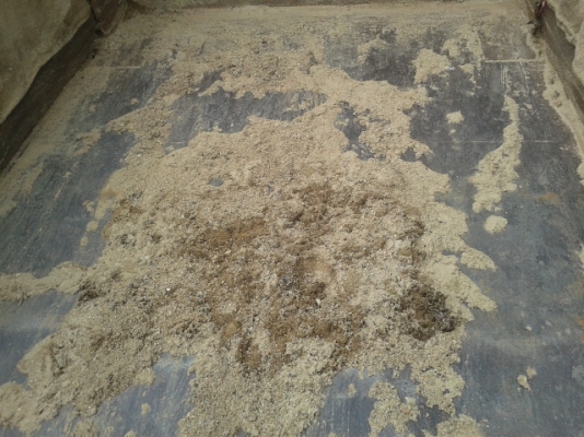 (ขายแล้วค่ ไป ภาค อีสาร)หกล้อดั้มอีซูสุ 115  แท้  เสี่ยสั่งลุย  (รถสวยเจ้าของจอดในโรงตลอด) พร้อมใช้ เล่มพร้อม..โอน