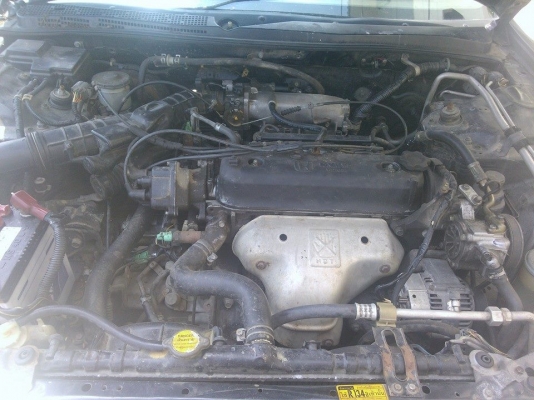 HONDA ACCORD 2.2 A/T (ไฟท้ายก้อนเดียว)ปี 38 HONDA ACCORD 2.2 A/T (ไฟท้ายก้อนเดียว)ปี 38