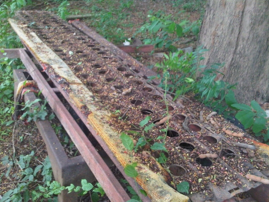 โครงเหล็กใส่เรือเล็กหรือเจ็ทสกี หรือจะนำไปดัดแปลงเป็นเทลเลอเจ็ทสกี โครงเหล็กใส่เรือเล็กหรือเจ็ทสกี หรือจะนำไปดัดแปลงเป็นเทลเลอเจ็ทสกี