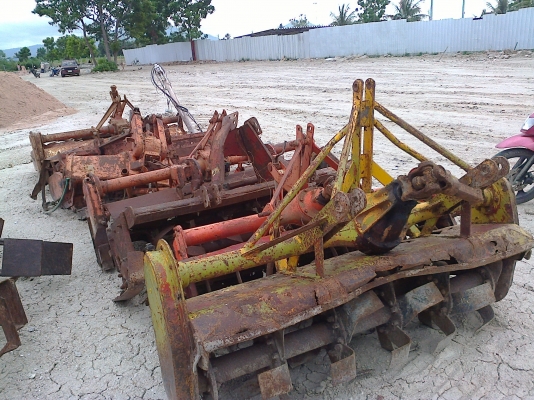 ขายเหมาโลตาลี่ ราคาถูก 8 ตัว