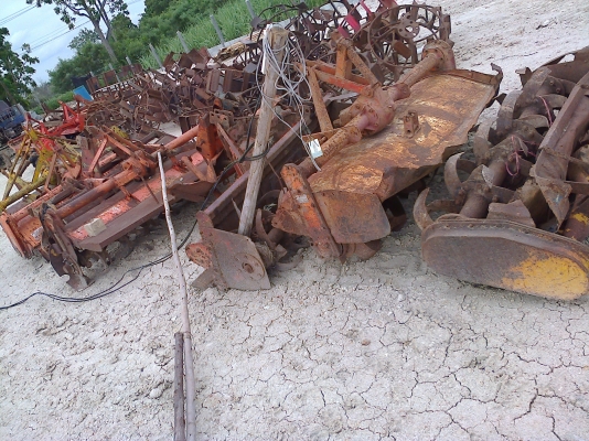 ขายเหมาโลตาลี่ ราคาถูก 8 ตัว