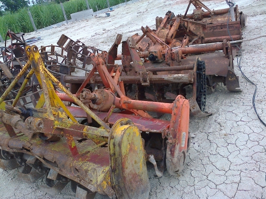 ขายเหมาโลตาลี่ ราคาถูก 8 ตัว