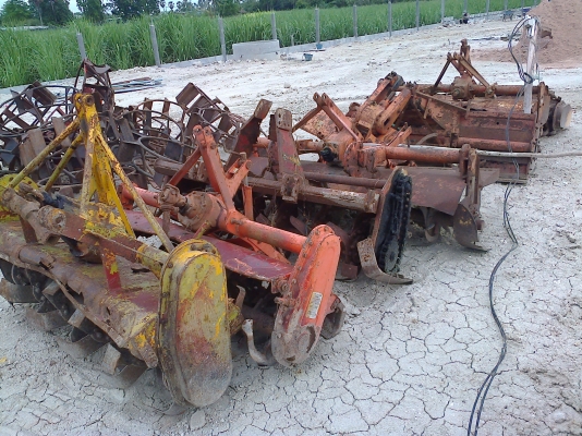 ขายเหมาโลตาลี่ ราคาถูก 8 ตัว