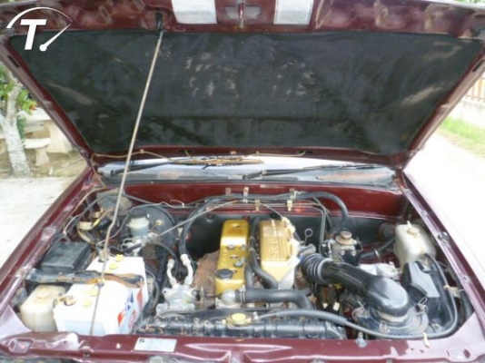 อีซูซุ มังกรทอง ตอนเดียว สำหรับใช้งาน