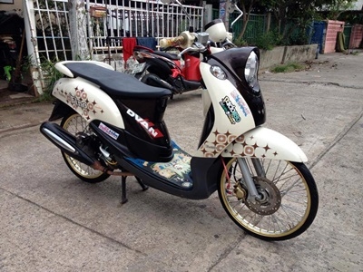 ฟีโน่ ปี54 เกย์แยก