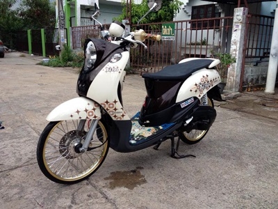 ฟีโน่ ปี54 เกย์แยก