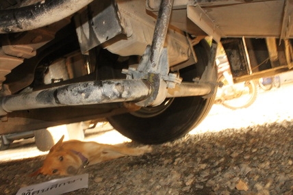 ขายบัส 6 ล้อแอร์ ฮีโน่ 580,000