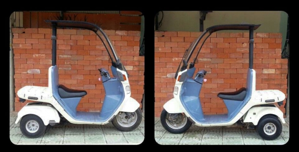 Honda Gyro Canopy 50cc.