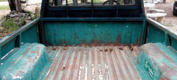 ขายดัสสัน 620 แห้งๆเดิมๆ ขับทุกวัน ราคา 57000 บาท