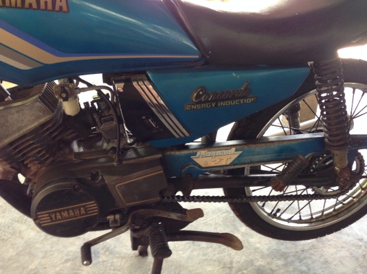 คอนคอนเดิม