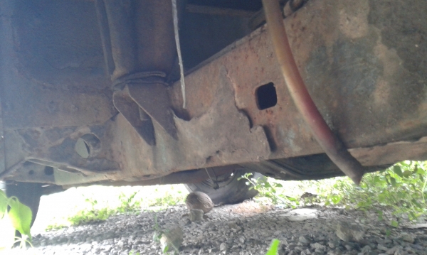 ขายโตโยต้า หางหงส์ 5ขอ เกียร์คอ ทะเบียน58 เครื่องดีขับกลับได้เลย