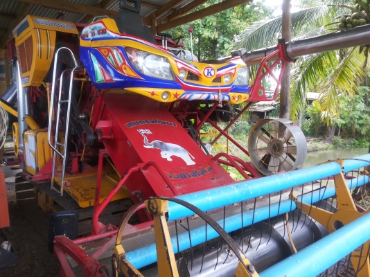 ขายจ้าวช้างไวไฟด่วน1400000  เจ้าของขายเองต่อลองได้นิดหน่อย