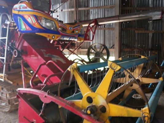 ขายจ้าวช้างไวไฟด่วน1400000  เจ้าของขายเองต่อลองได้นิดหน่อย