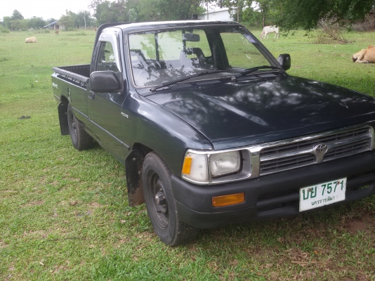 ไมตี้หัวเดียวถูกสุดๆ เดิม ปี38 79000 ไมตี้หัวเดียวถูกสุดๆ เดิม ปี38 79000