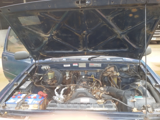 ไมตี้แคป เดิมๆ ถูกสุดๆ 89000มาก่อนได้ก้่อน ไมตี้แคป เดิมๆ ถูกสุดๆ 89000มาก่อนได้ก้่อน