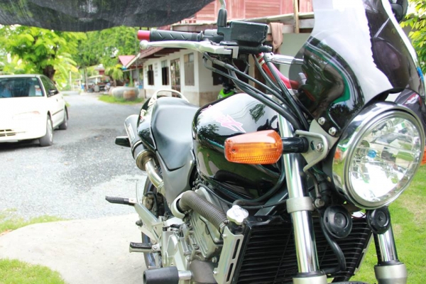 ขาย Honda Hornet 600 ปี 1999 อินวอย พร้อม สรรพสามิตร